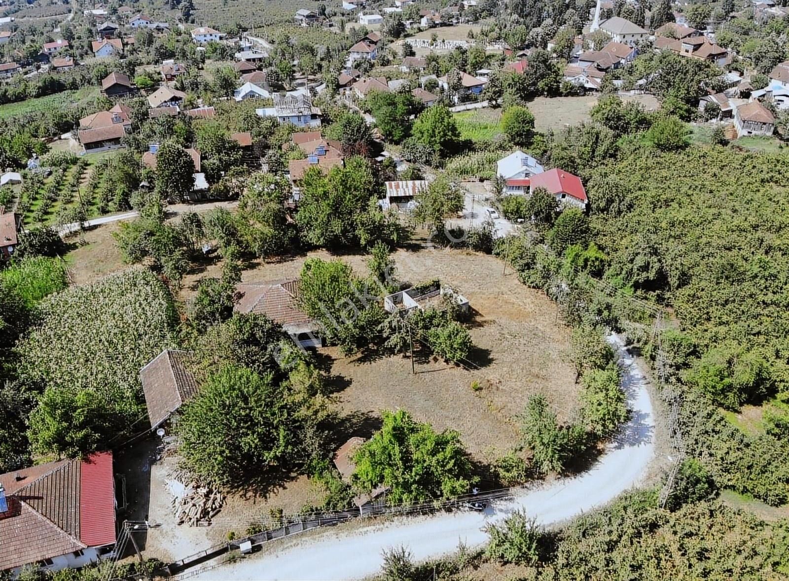 Düzce Merkez Gölormanı Köyü (Merkez) Satılık Konut İmarlı Fırsat Düzce Gölormanında Satılık Müstakil Arsa