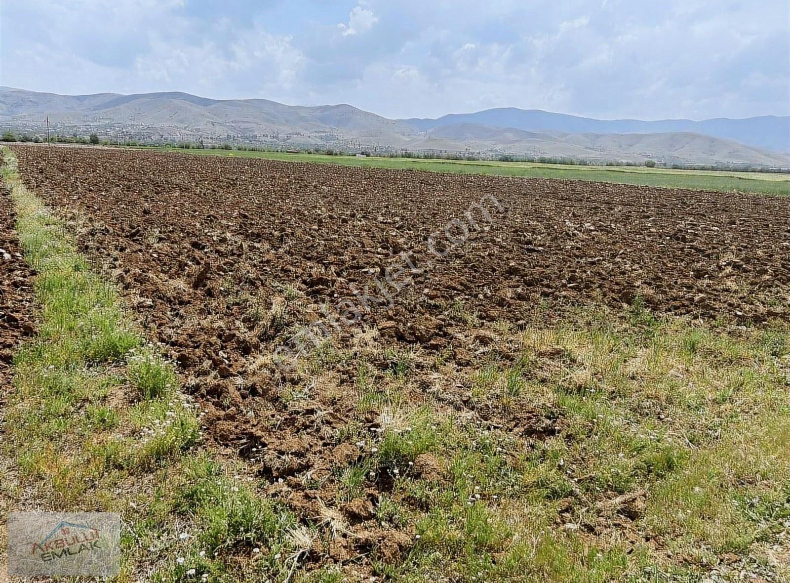 Elazığ Merkez Gözebaşı Köyü (Yeşilyurt) Satılık Tarla Gözebaşı Kinederiç De Satılık Fırsat Tarlası