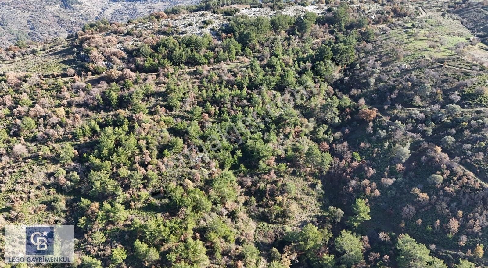 Seferihisar Gödence Satılık Tarla Seferihisar Gödence Satılık 35 Dönüm Yola 200 M Cepheli Tarla