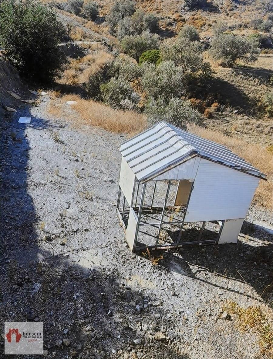 Datça Yazı Satılık Zeytinlik Borsem Datça - Satilik Tarla