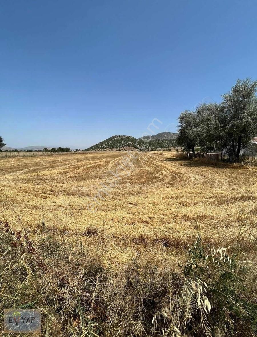 Korkuteli Karataş Satılık Tarla Korkuteli Merkez'de Satılık Tarla