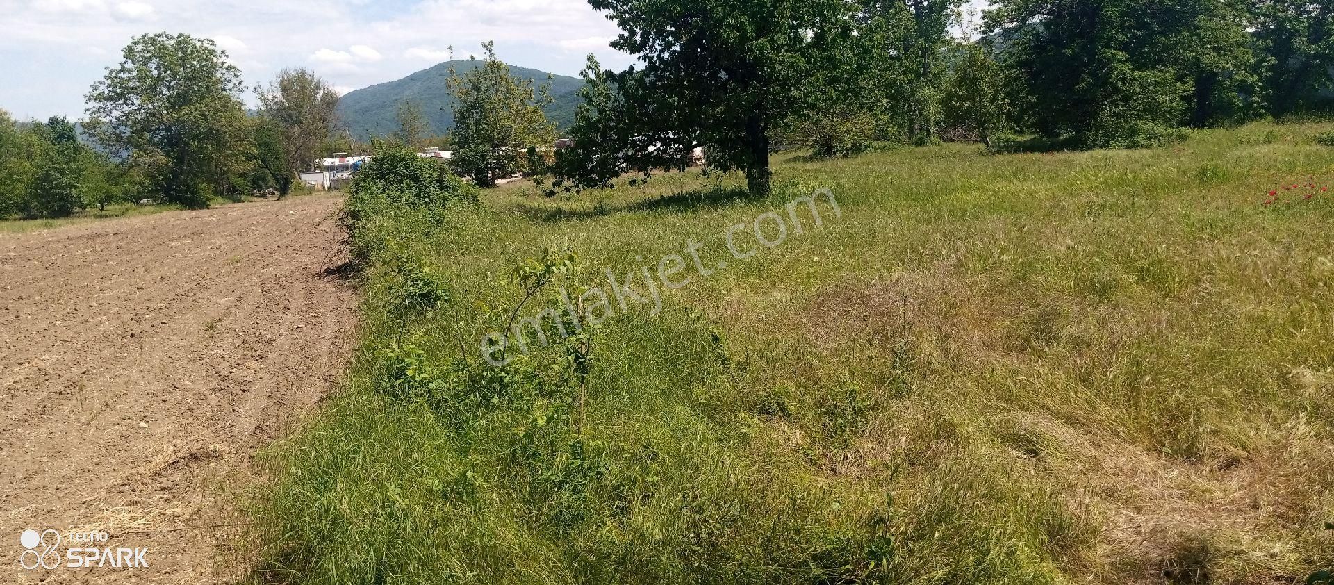 Bursa İnegöl Çitli Mah Satılık 1465 M2 Bahçe