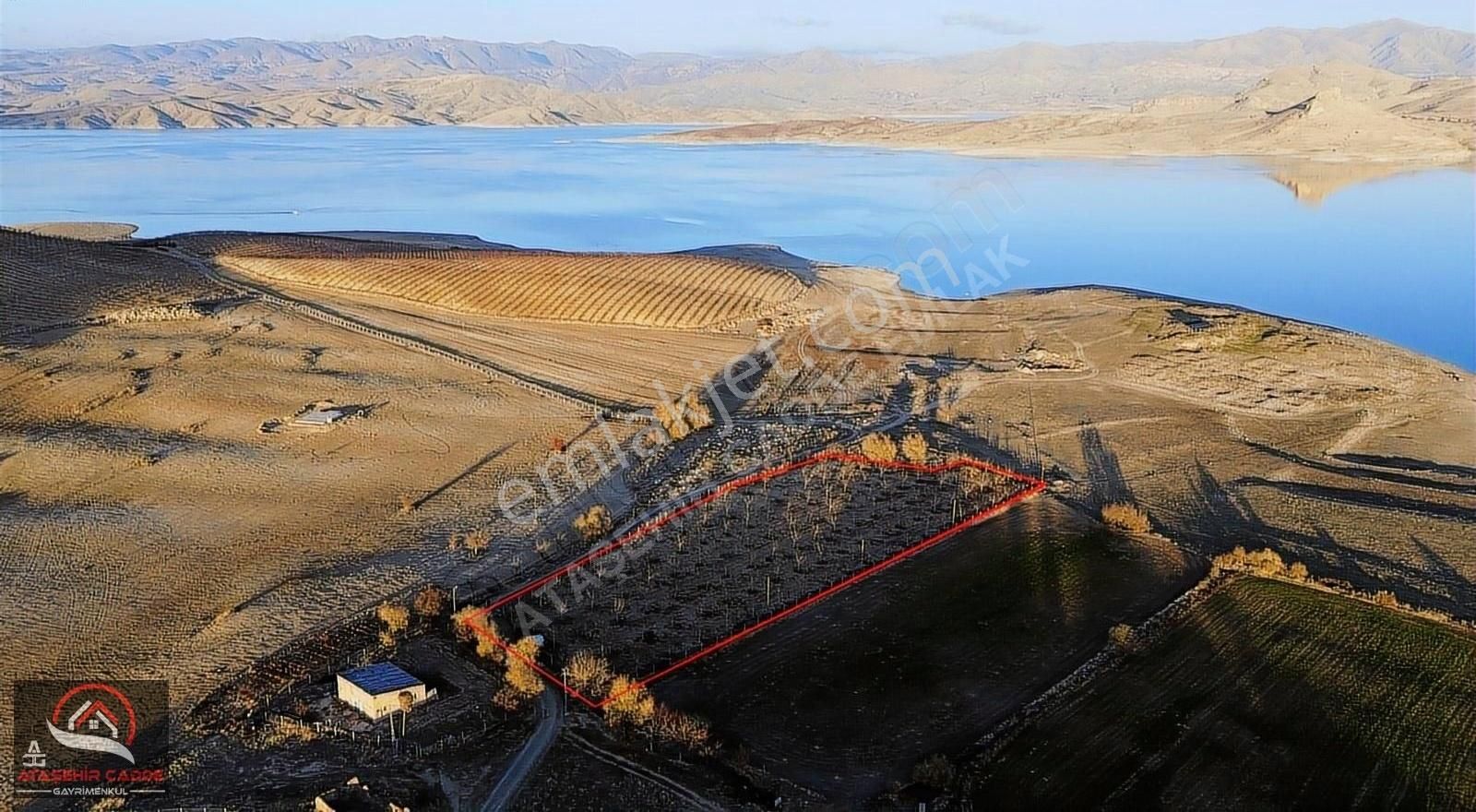 Elazığ Merkez Aydıncık Köyü Satılık Tarla [acg] Aydıncık Köyünde Satılık 7.927m2 Bahçe