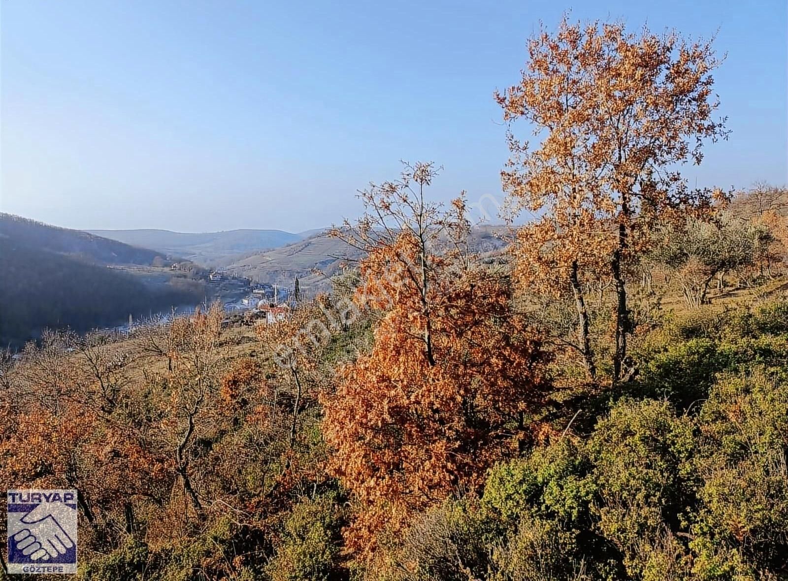 İznik Yürükler Satılık Tarla Turyap Göztepe Den İznikte Satılık 2736 M2 Arazi