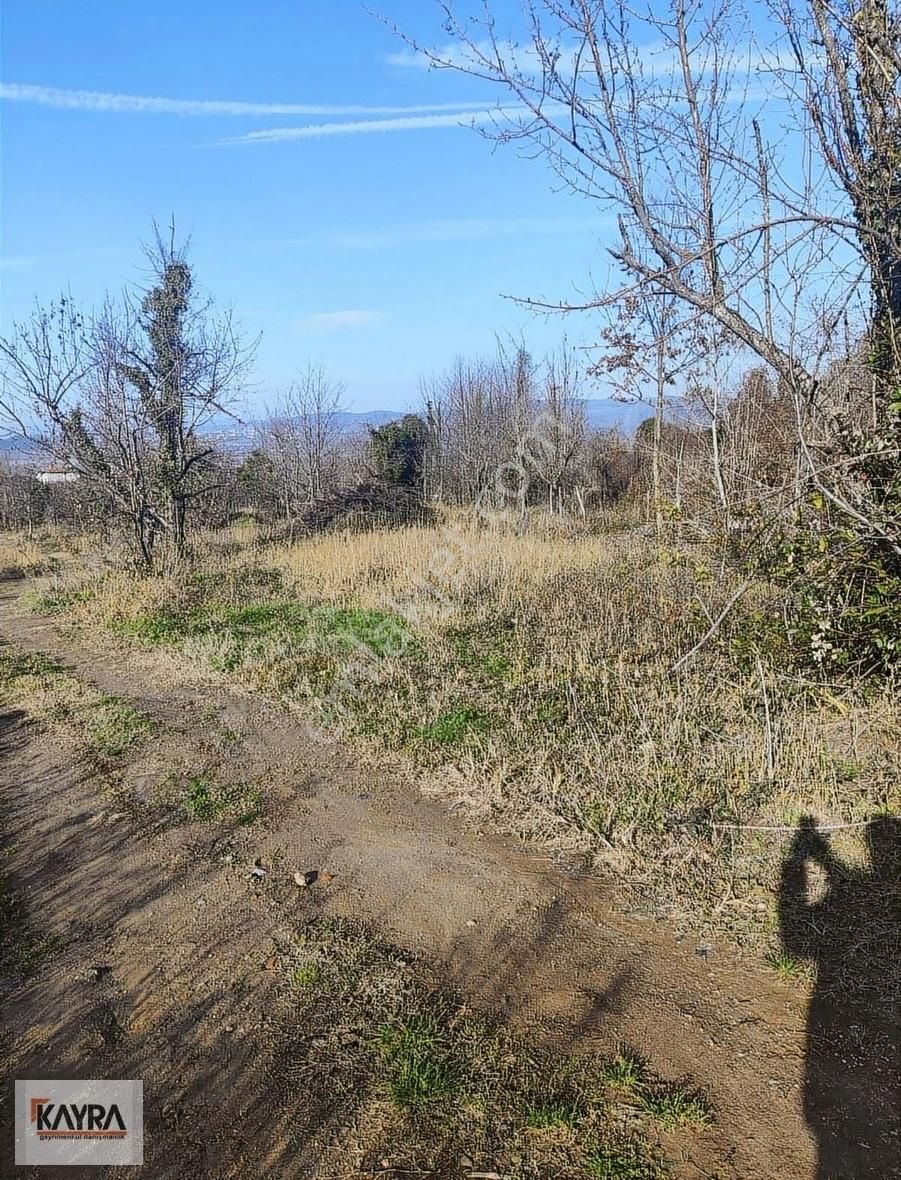 Sapanca Güldibi Satılık Konut İmarlı Sapanca Yanık'ta Net Parsel