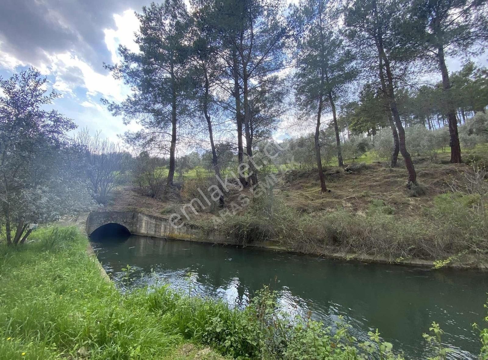 Seydikemer Atlıdere Satılık Tarla Sahil Atlıdere Mahallesinde Satılık Tarla