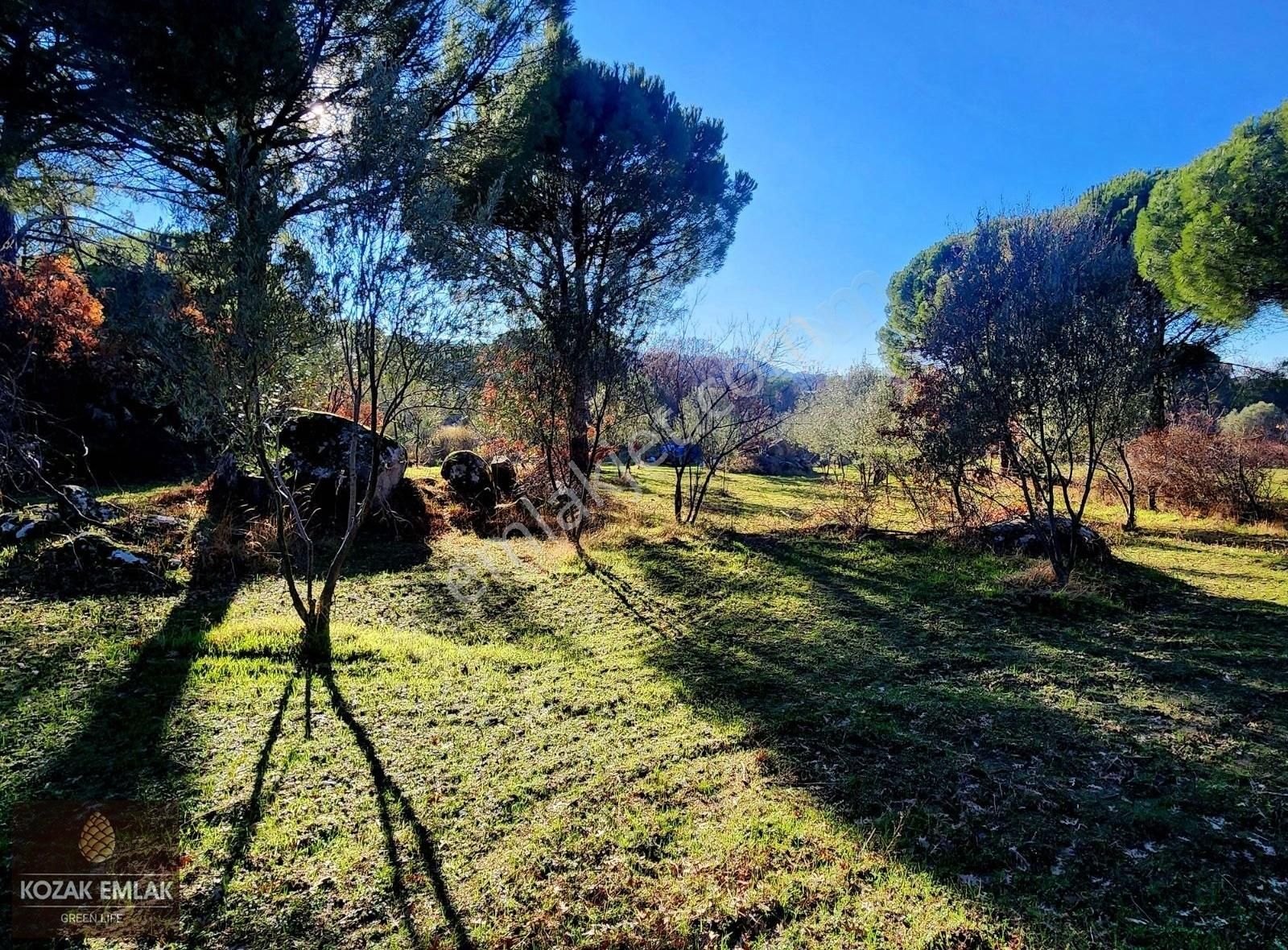 Bergama Okçular Satılık Tarla Bergama Kozak Okçular Müstakil Tapu Bahçe Satılık