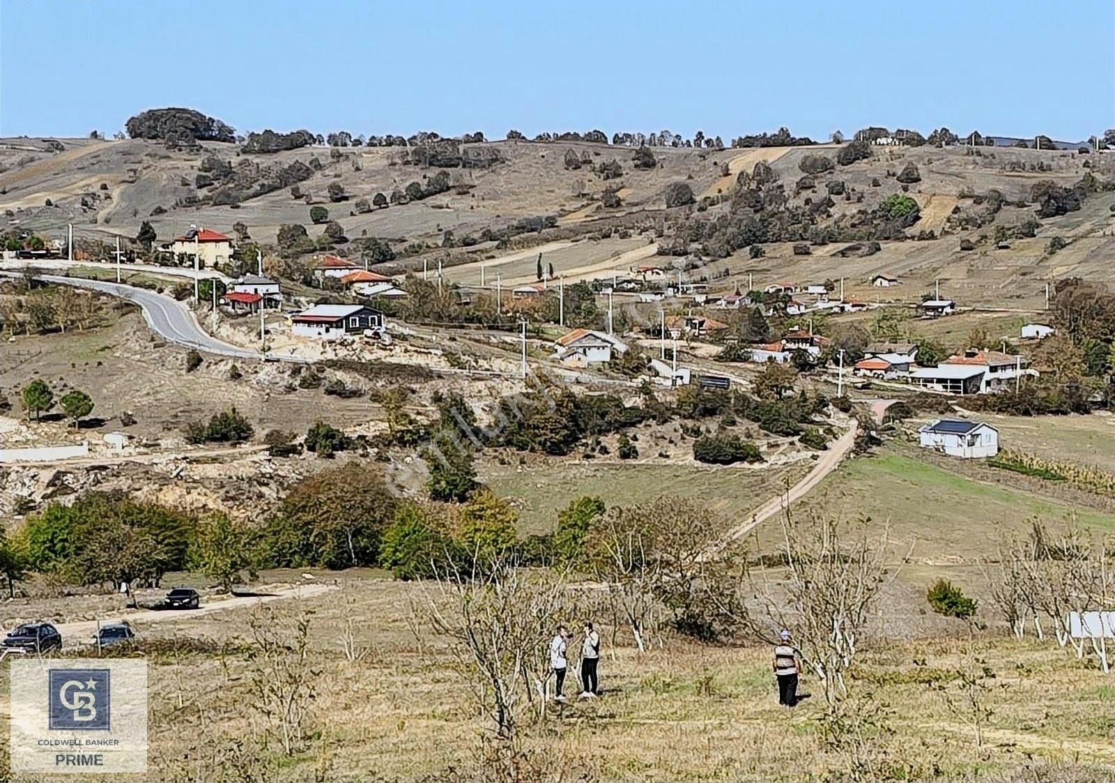 İzmit Kaynarca Satılık Tarla İzmit Kaynarca Köyün De Satılık Ceviz,fındık Tarlası