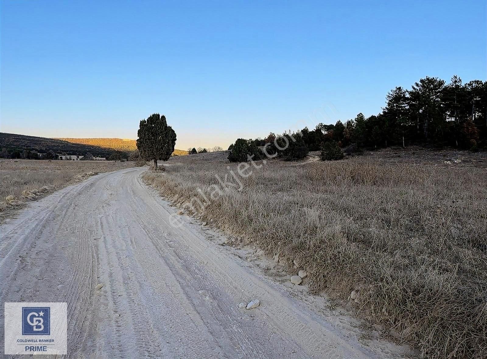 Altıntaş Oysu Köyü Satılık Tarla Kütahya Oysu Köyünde Satılık 5.498m2 Satılık Tarla