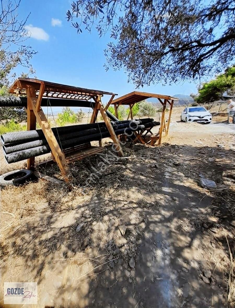 Milas Kısırlar Köyünde Satılık Tarla - Görsel 9