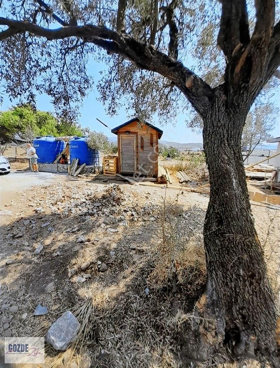 Milas Kısırlar Köyünde Satılık Tarla - Görsel 7
