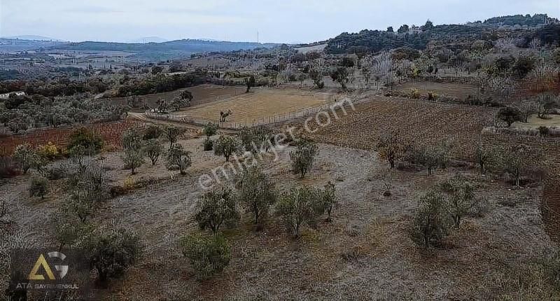 Lapseki Kangırlı Köyü Satılık Tarla Ata Gayrımenkul'den Kangırlı'da Deniz Manzaralı Tarla