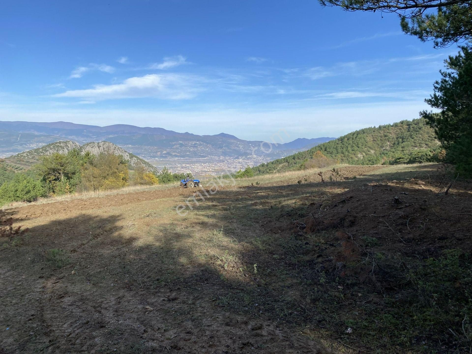 Geyve Alıplar Satılık Tarla Hakan Gayrimenkul'den Sakarya Geyve Alıplar Mh Şehir Manzaralı 11975 M2 Arazi