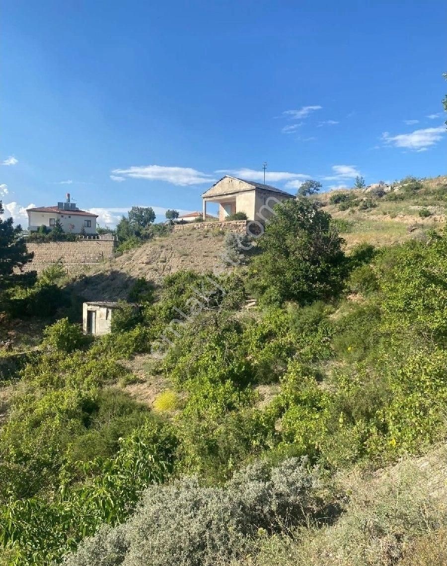 Kayseri, Kocasinan, Taşhan'da, Bağ(içinde Eski Bağevi Var) - Görsel 14