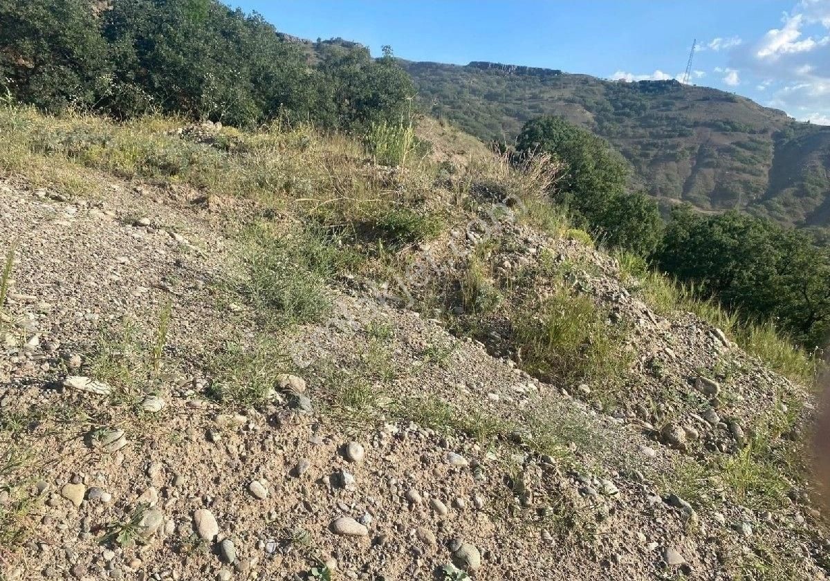 Kayseri, Kocasinan, Taşhan'da, Bağ(içinde Eski Bağevi Var) - Görsel 5