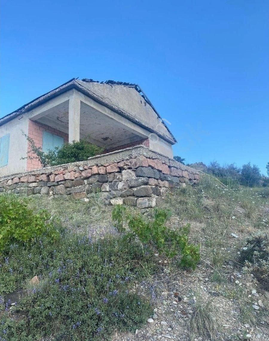 Kayseri, Kocasinan, Taşhan'da, Bağ(içinde Eski Bağevi Var) - Görsel 17