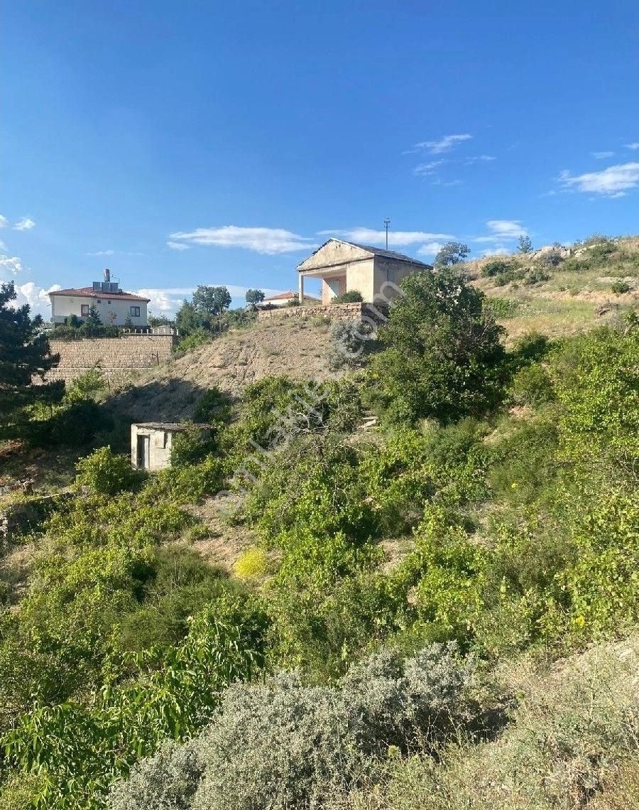 Kayseri, Kocasinan, Taşhan'da, Bağ(içinde Eski Bağevi Var) - Görsel 13
