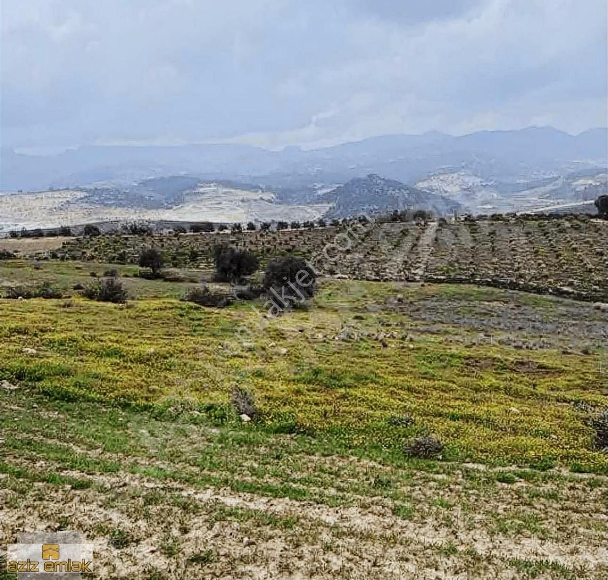 Toroslar Arpaçsakarlar Satılık Tarla Aziz Emlakdan Camilide Satlık 10 Dönüm 500 Metre Kare