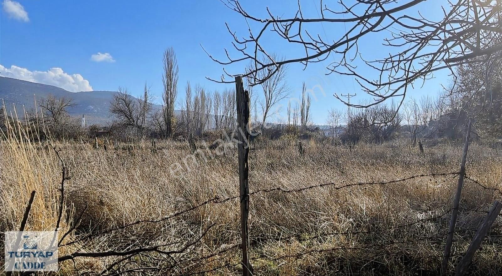 Bayramiç Pınarbaşı Köyü Satılık Bağ & Bahçe Bayramiç Pınarbaşı Köyünde , Köy Sınırında Hobi Bahçesi Arazisi