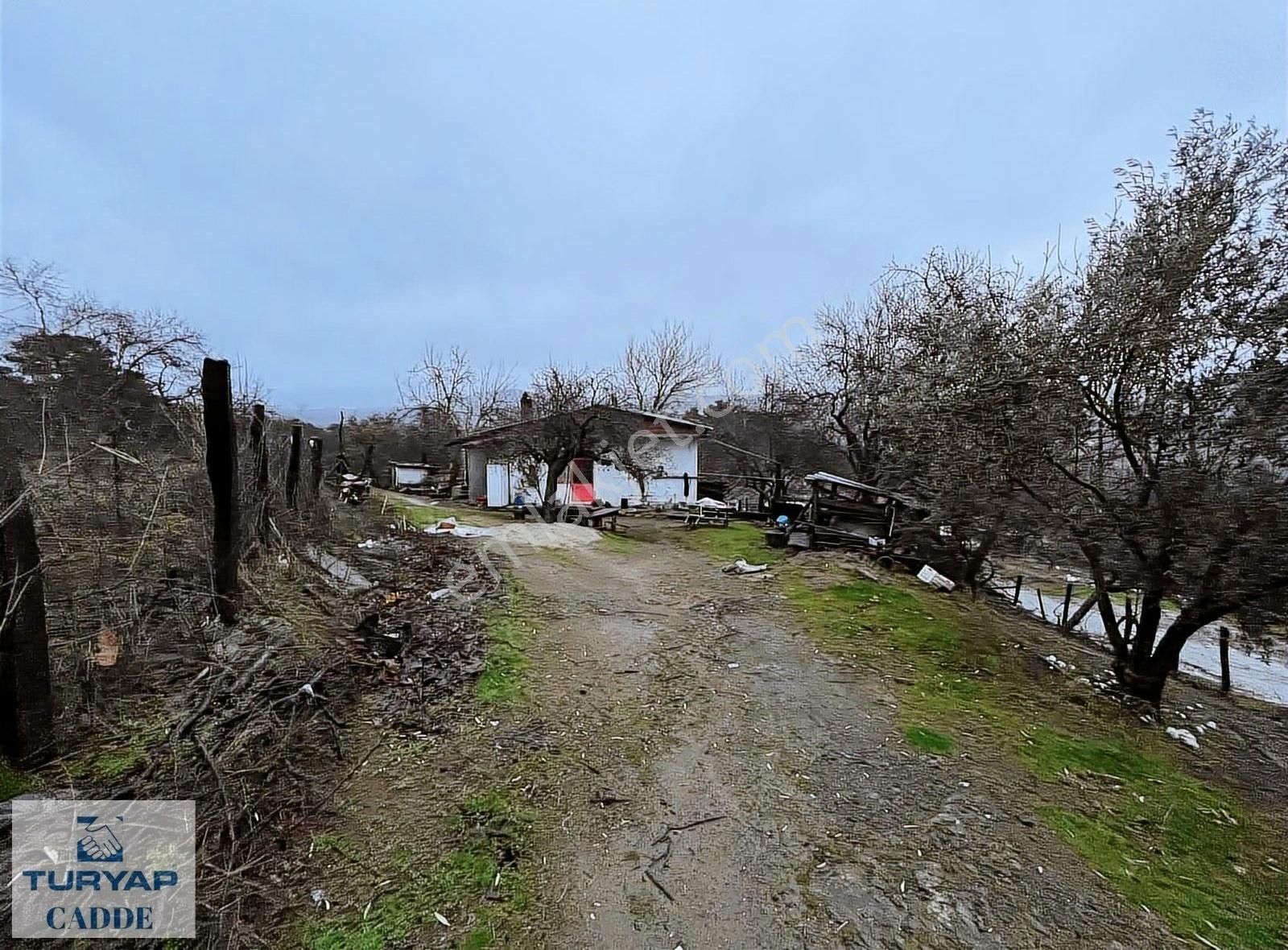 Bayramiç Yassıbağ Köyü Satılık Konut İmarlı Muhteşem Doğa Manzaralı Köy Evi