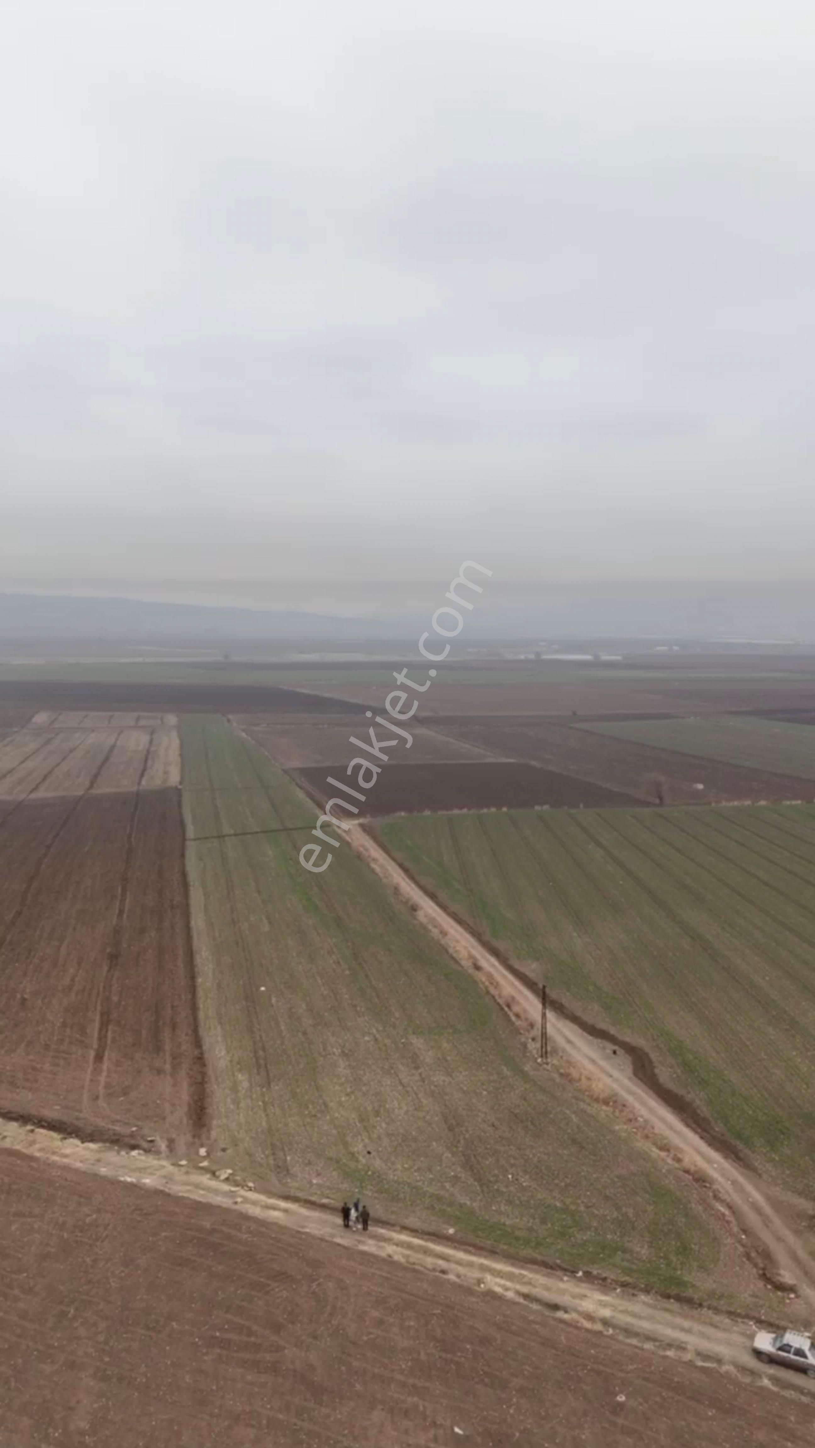 Dulkadiroğlu Ayaklıcaoluk Satılık Tarla Acil Satılık Kupon Tarla Yeni Malatya Yolu Üzeri 16.5 Dönüm Yatırım Fırsatı