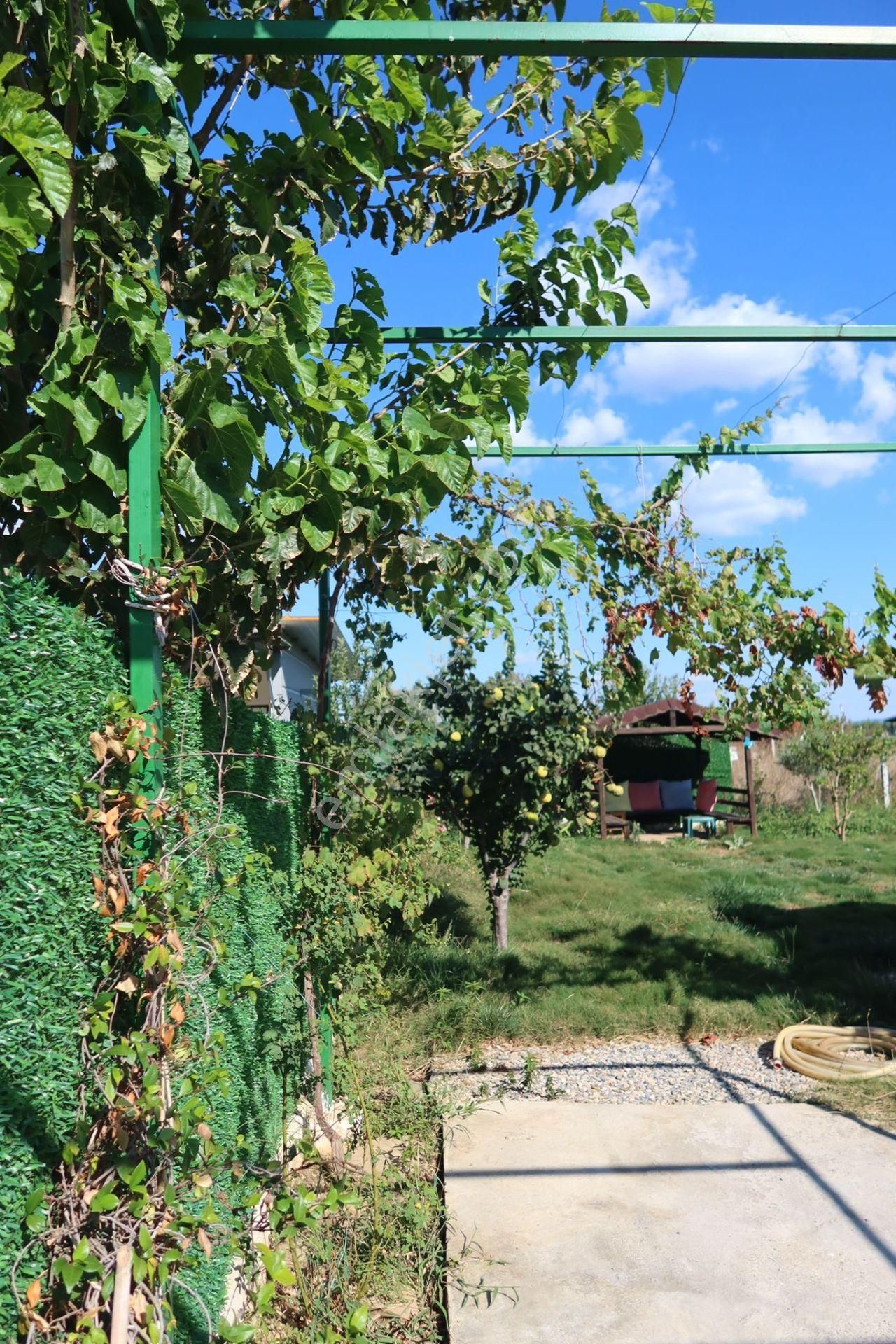 Turpa Taşdemir'den Bulgurca'da 300 M2 Satılık Hobi Bahçesi - Görsel 9
