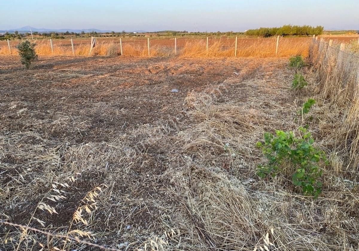 Menderes Oğlananası Atatürk Satılık Tarla Menderes'te 440 M2 Hisse Tapulu Tarla