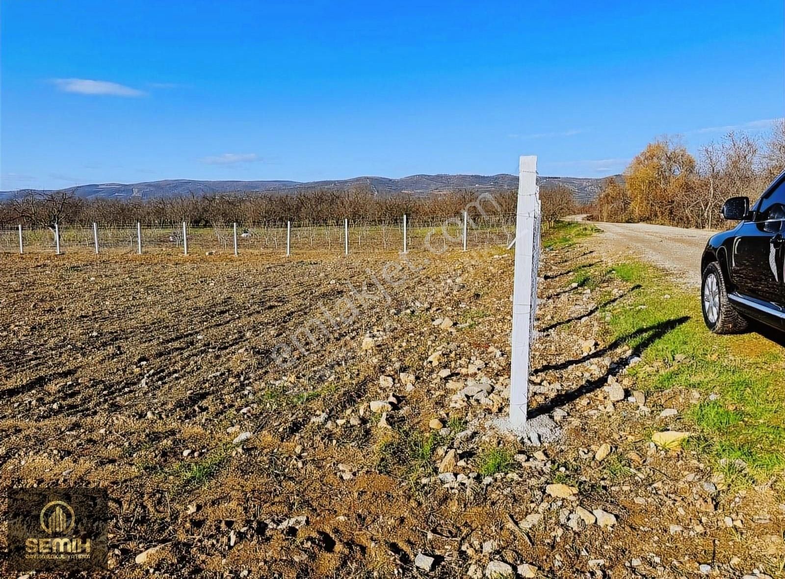 İznik Çakırca Satılık Tarla İznik Çakırcada Etrafı Tel Örgülerle Çevriili 675m² Hobi Bahçesi