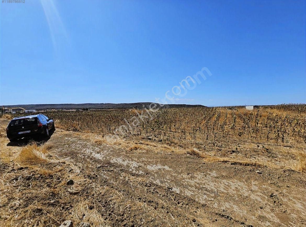 Keşan Barağı Köyü Satılık Tarla Satılık Hisseli Yatırımlık Fırsat Tarla 12.249,01 M2 Edirne -keşan /barağı Köyü Satılık