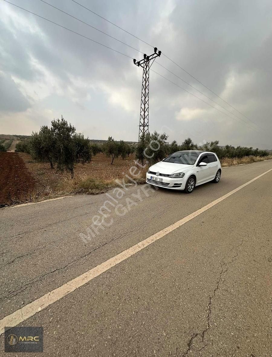 Kilis Merkez Oylum Satılık Tarla Mrc Gayrimenkulden Asfalt Üzeri Bag Evlik Zeytinlik