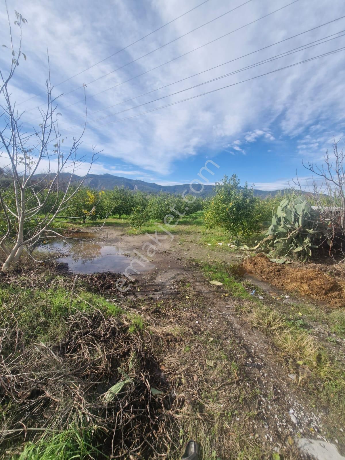 Ortaca Dalaklı Satılık Konut İmarlı Muğla Ortaca Dalaklıda Satılık 2000 M2 Arsa