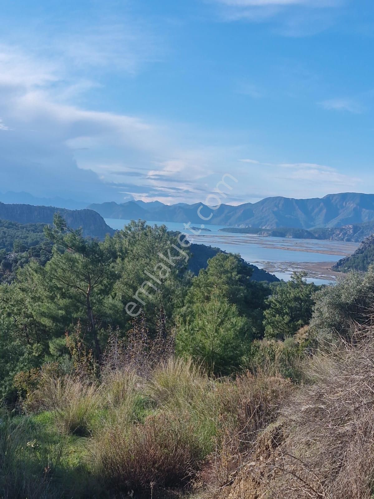 Muğla Ortaca Gökbelde Deniz Ve Göl Manzaralı Satılık 3500 M2 Tarla