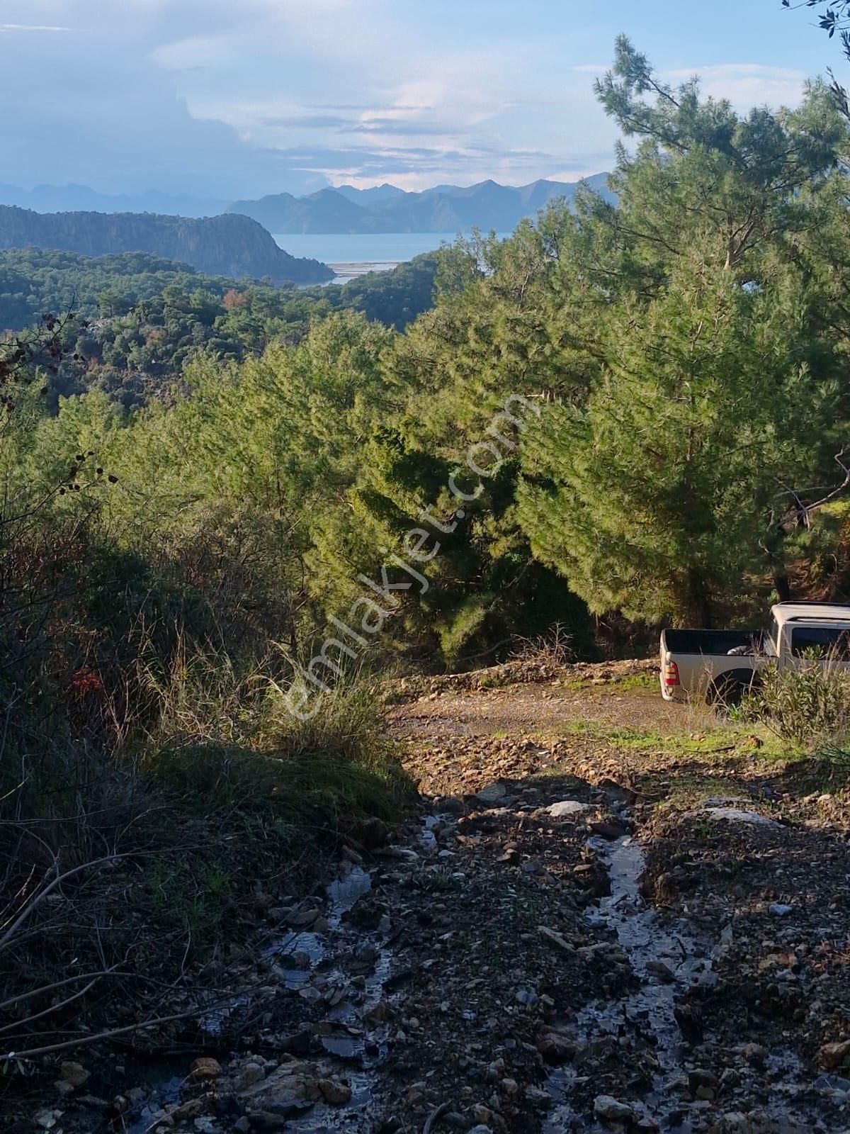 Muğla Ortaca Gökbelde Deniz Ve Göl Manzaralı Satılık 3500 M2 Tarla - Görsel 3
