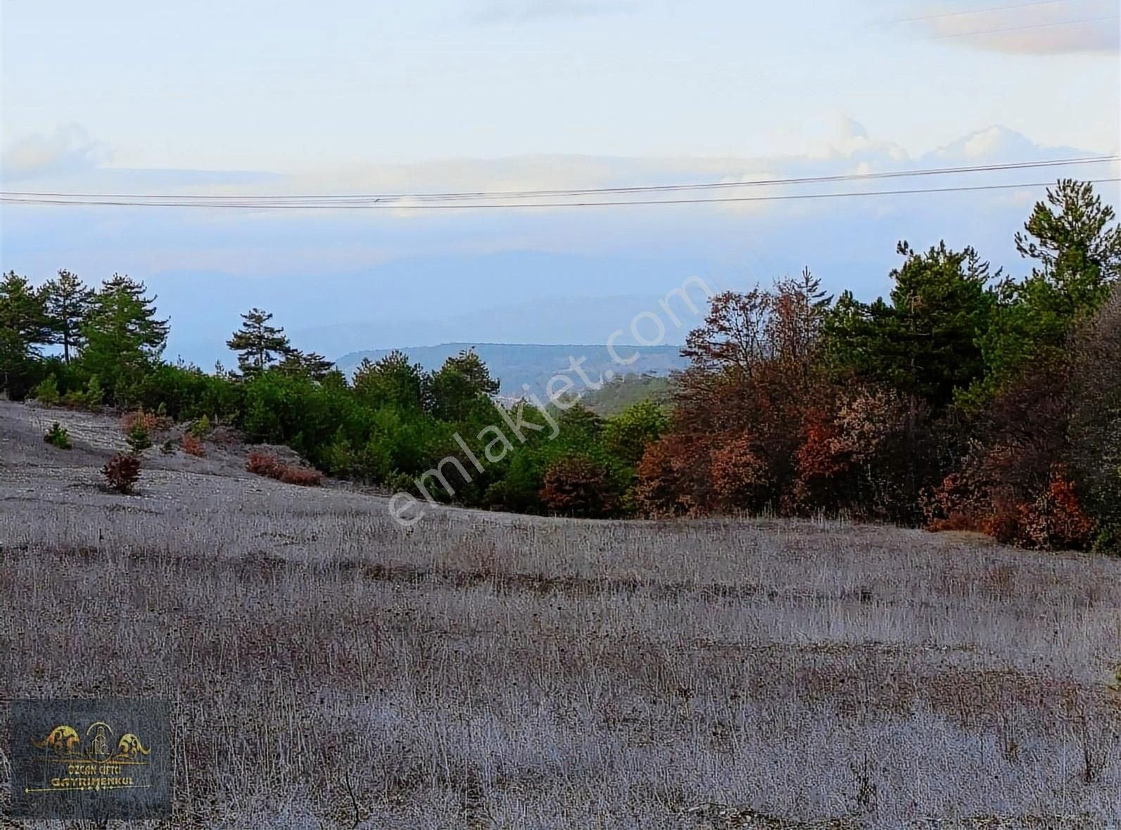 Harmancık Hopandanişment Satılık Tarla Uludağ Manzaralı Yola Cepheli Köye Yakın 1.420 M2 Fırsat Arazi.