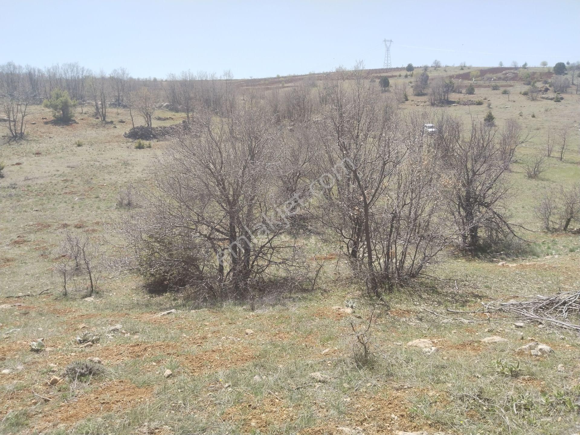 Konya Bozkır Hamzalar Köyünde 1.738m² Bağımız Satılıktır.