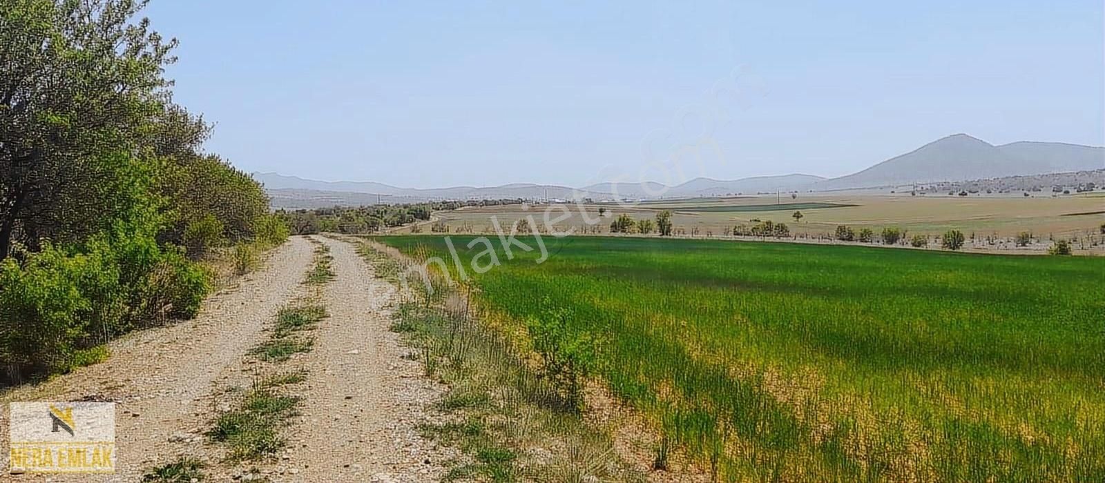 Çumra Dinek Satılık Tarla Çumra'ya 25dk.-apa Barajına 10dk.tek Tapu Yol Cepheli 2.532m2