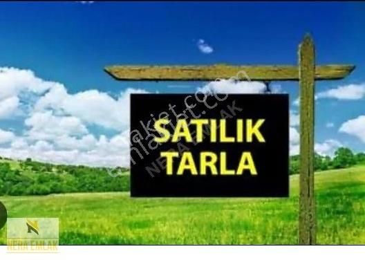 Emet Aydıncık Köyü (Meydan) Satılık Tarla Kütahya Emet'te 1.680m2 Tek Tapu Ekilebilir Yatırımlık Tarla