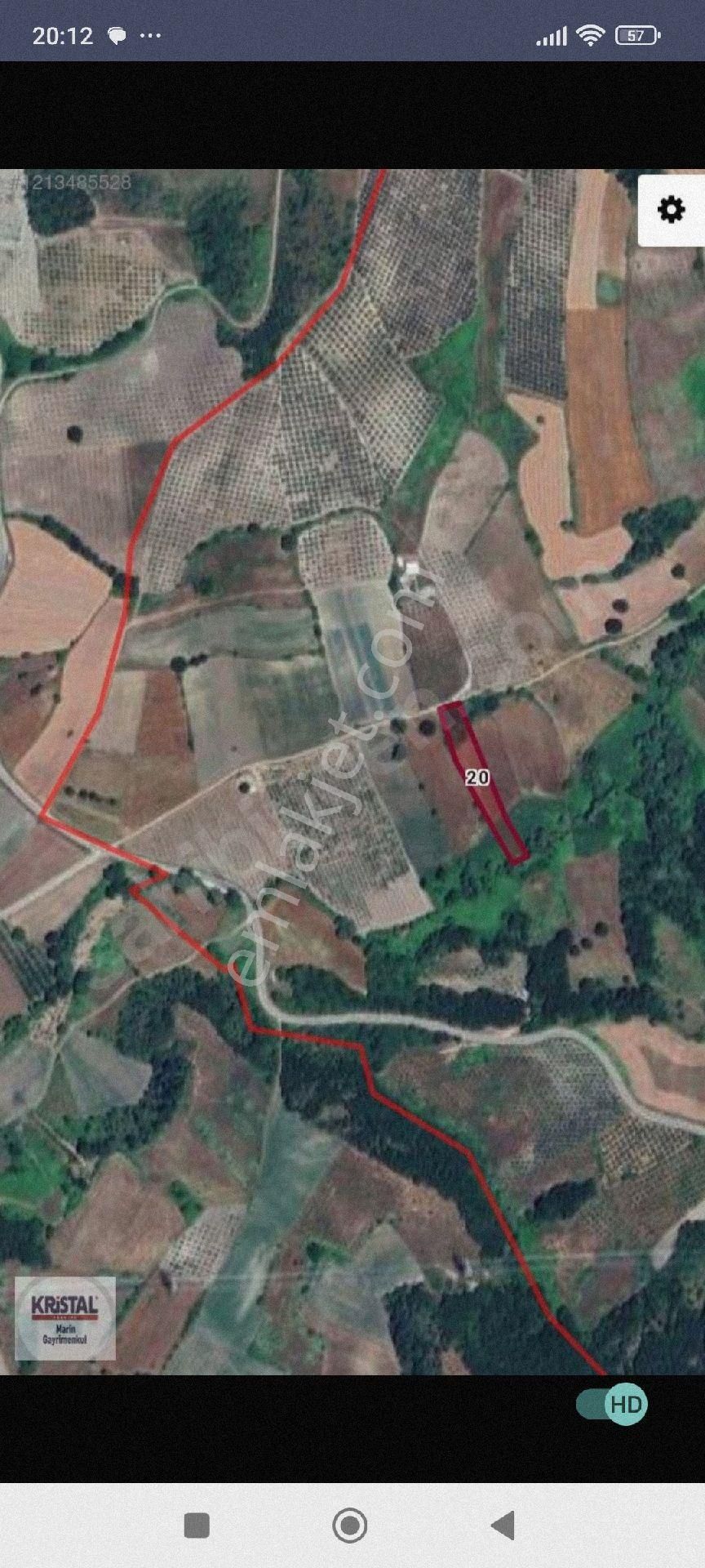 Mudanya Hançerli'de Satılık Zeytinlik - Görsel 2