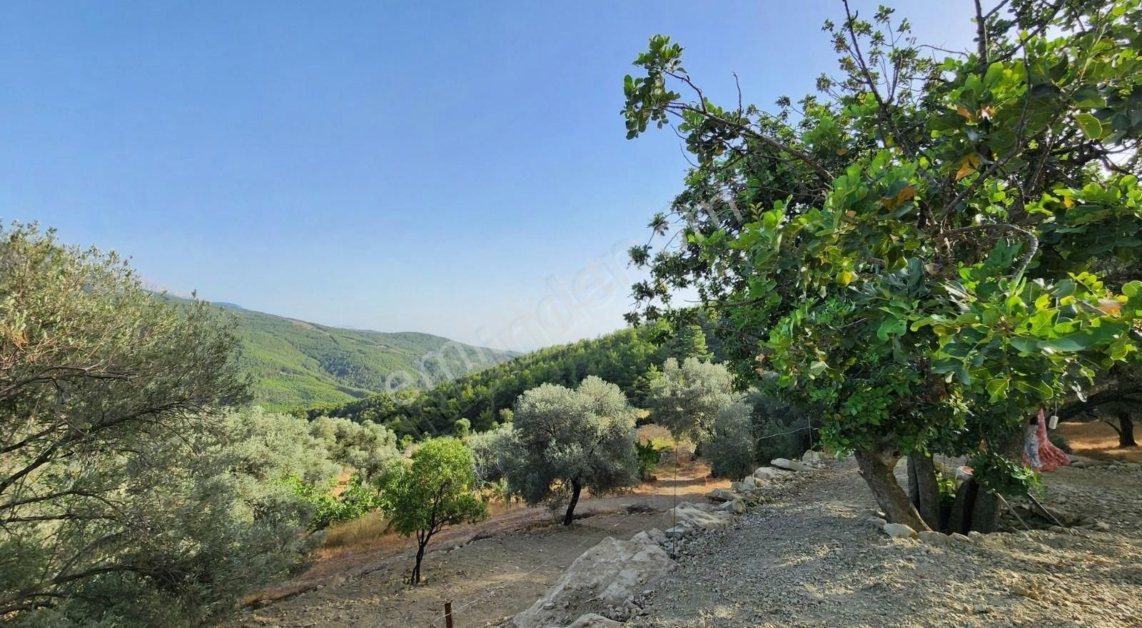 Orta Bayır'da 800m2 Arazi İçinde 60 M2 Ev - Görsel 3