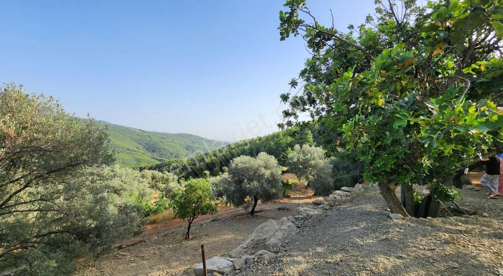 Orta Bayır'da 800m2 Arazi İçinde 60 M2 Ev - Görsel 15