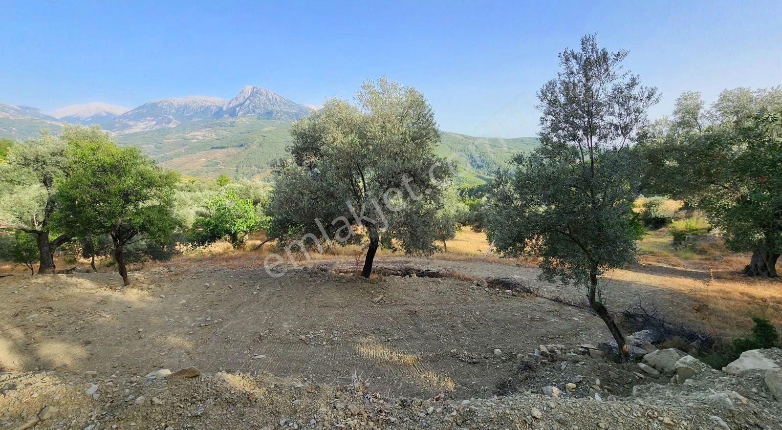 Orta Bayır'da 800m2 Arazi İçinde 60 M2 Ev - Görsel 21
