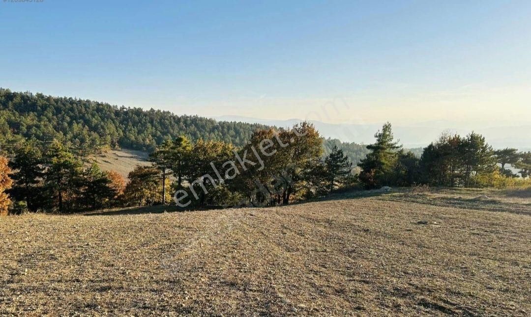 Geyve Hisarlık Satılık Tarla Türkiye'de İlk İnovasyon Köyüne Yakın Düzlük Arazi