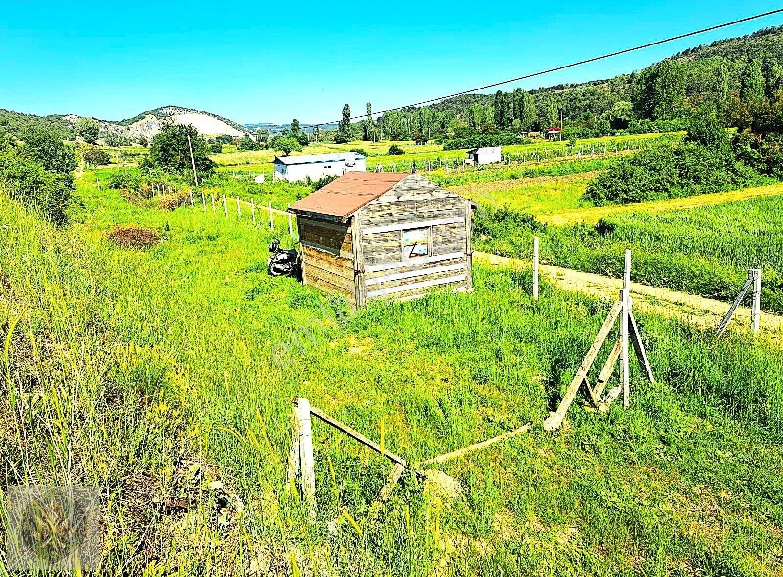 Bozüyük Kızılcapınar Köyü Satılık Tarla Bozüyük Kızılcapınar'da Satılık 634 M2 Bahçe (araç Takası Olur)