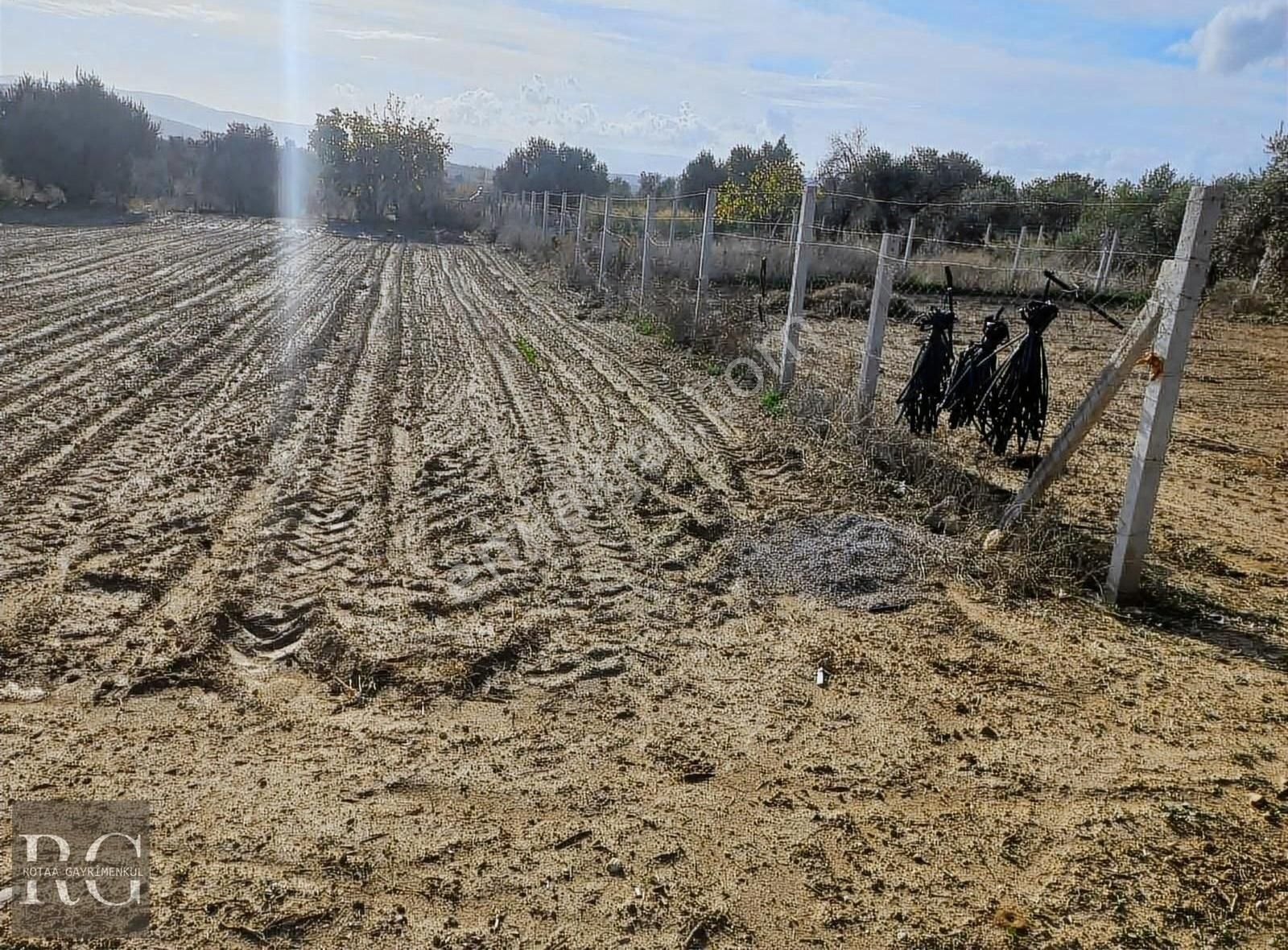 Torbalı Dirmil Satılık Tarla Torbalı Dirmil Mah. Aile Mirasından Bölünme 1003 M2 Zeytinlik