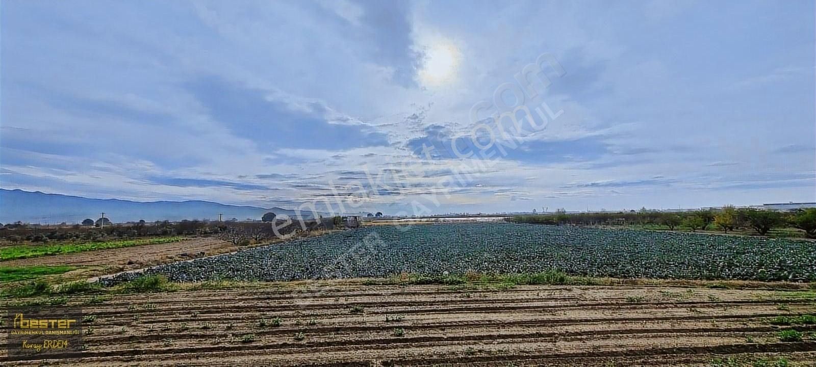 Menemen Mermerli Satılık Tarla Menemen Mermerlide Satılık Fırsat Bağ