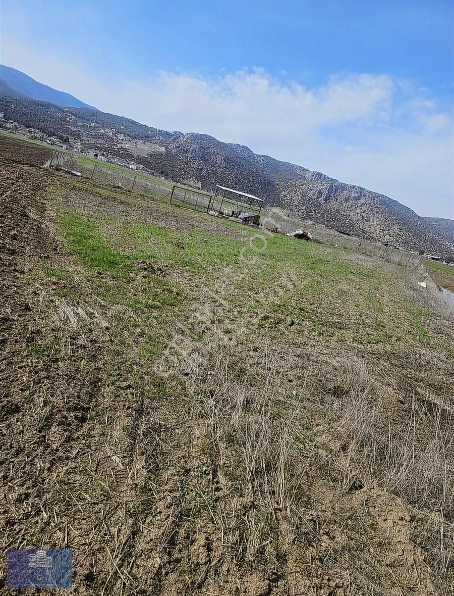 Bademagacı 4.589m2 Tarla Yatırım Bölgesi - Görsel 2