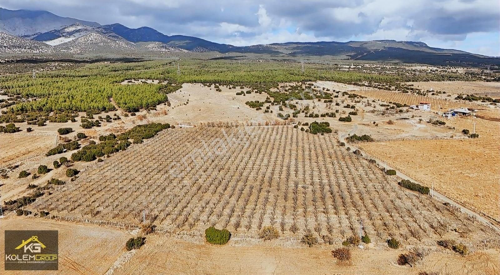 Tavas Vakıf Satılık Bağ & Bahçe Doğa Harikası 46000m2 1700 Adet Ferragnes Bademli Tarla !