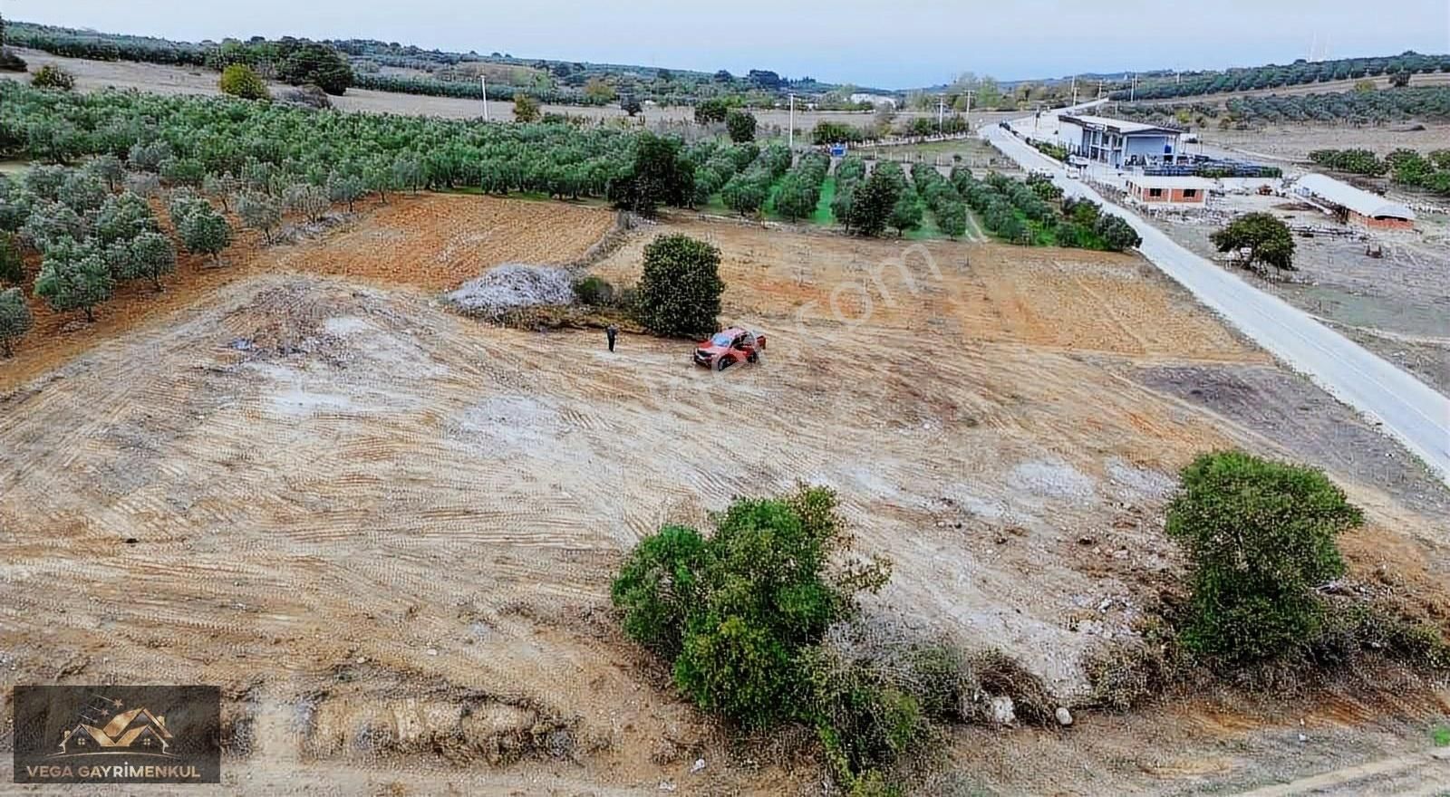 Mudanya Esence Satılık Tarla Esence'de Anayola Cephe Parseller