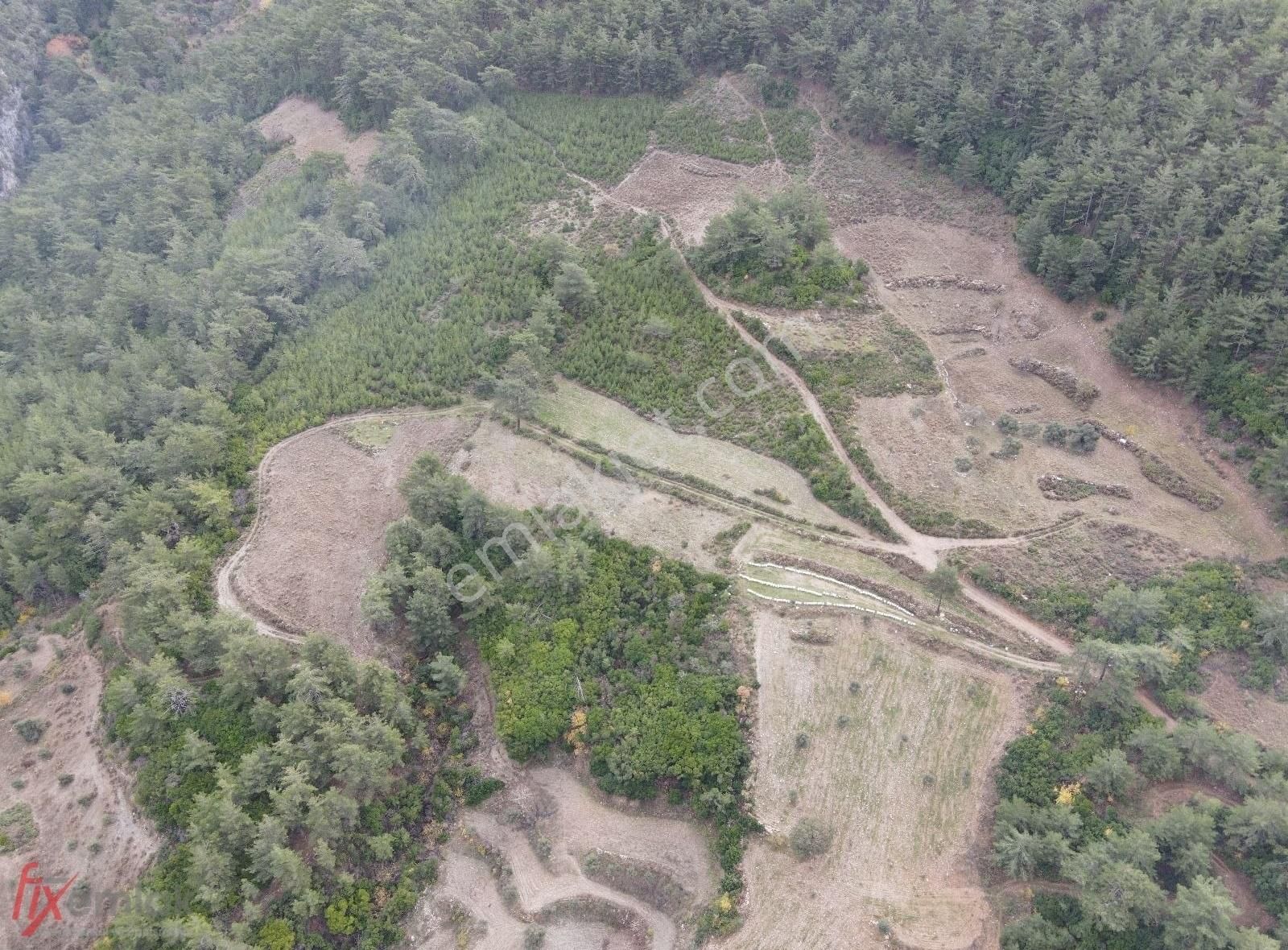 Menteşe Dağpınar Satılık Tarla Dağpınar'da 15 Dönüm Resmi Yolu Mevcut Satılık Tarla