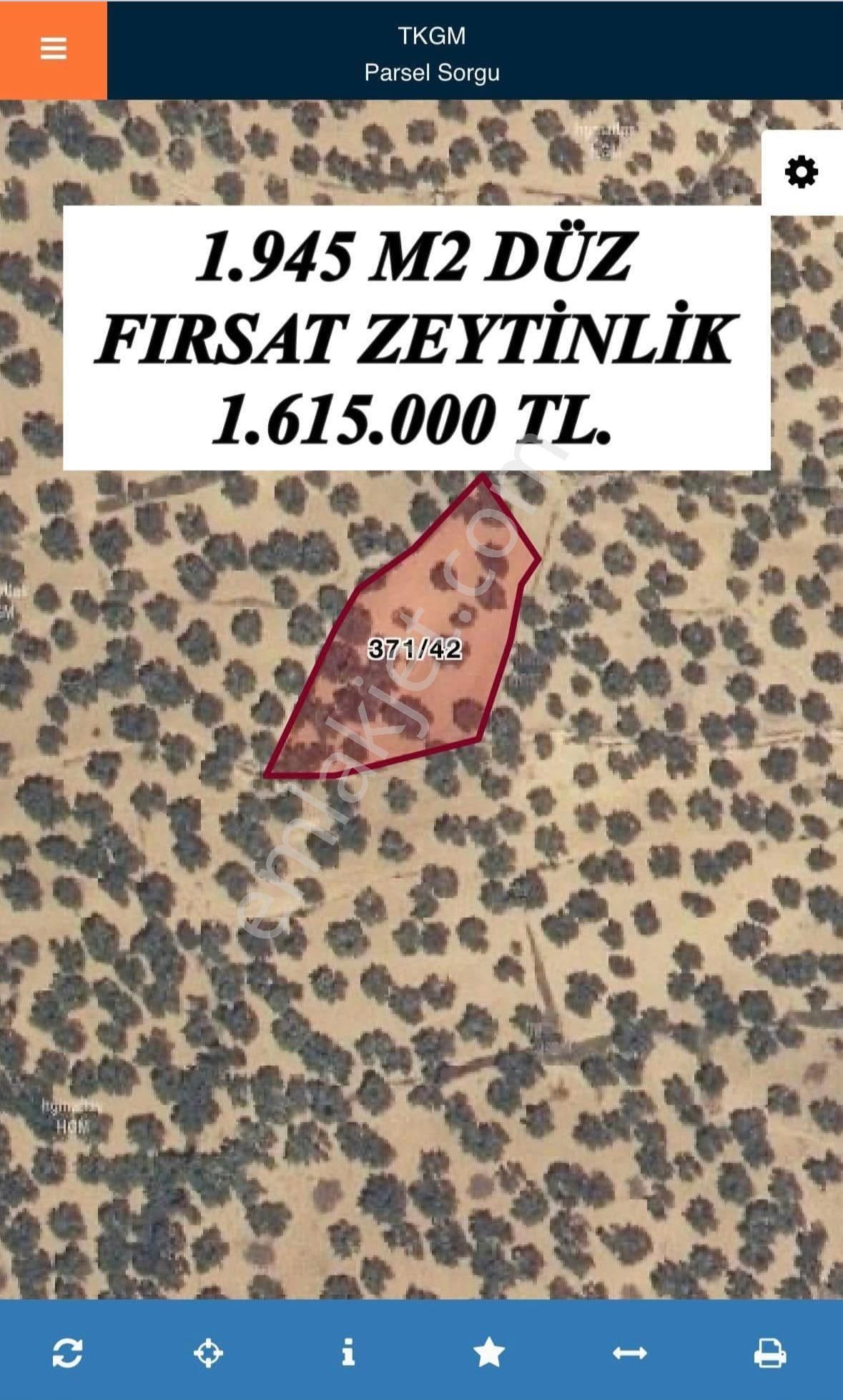 Gömeç Kemalpaşa Satılık Tarla Balıkesir Gömeç’te 1.944 M2 Zeytinlik Bahçemiz Fırsat Fiyata Satılıktır!!